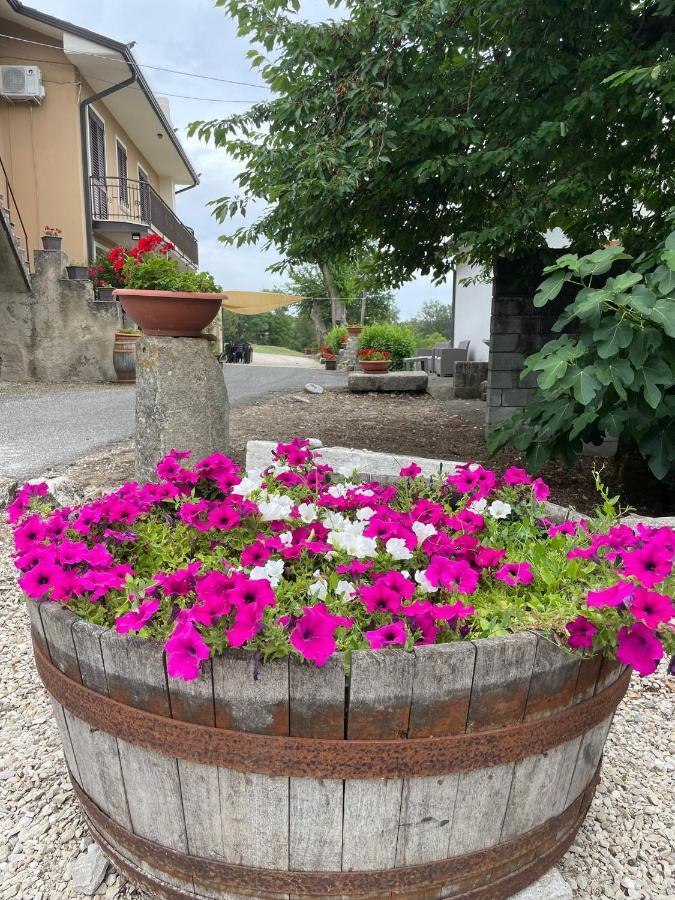 Mirabella Eclano B&B Relais Aeclanum المظهر الخارجي الصورة
